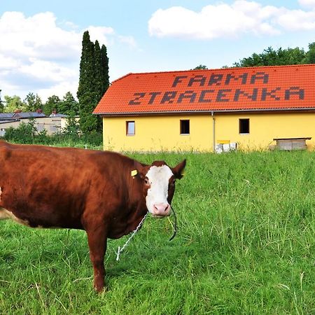 Farma Ztracenka Hotel Porici nad Sazavou Luaran gambar