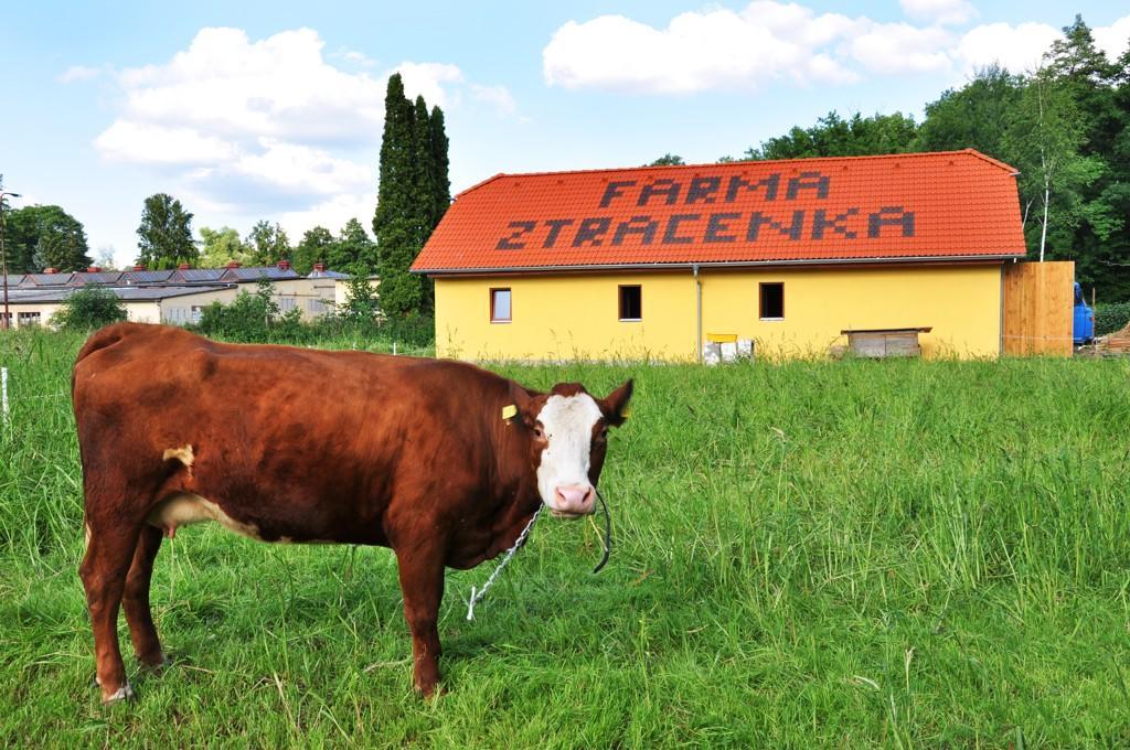 Farma Ztracenka Hotel Porici nad Sazavou Luaran gambar