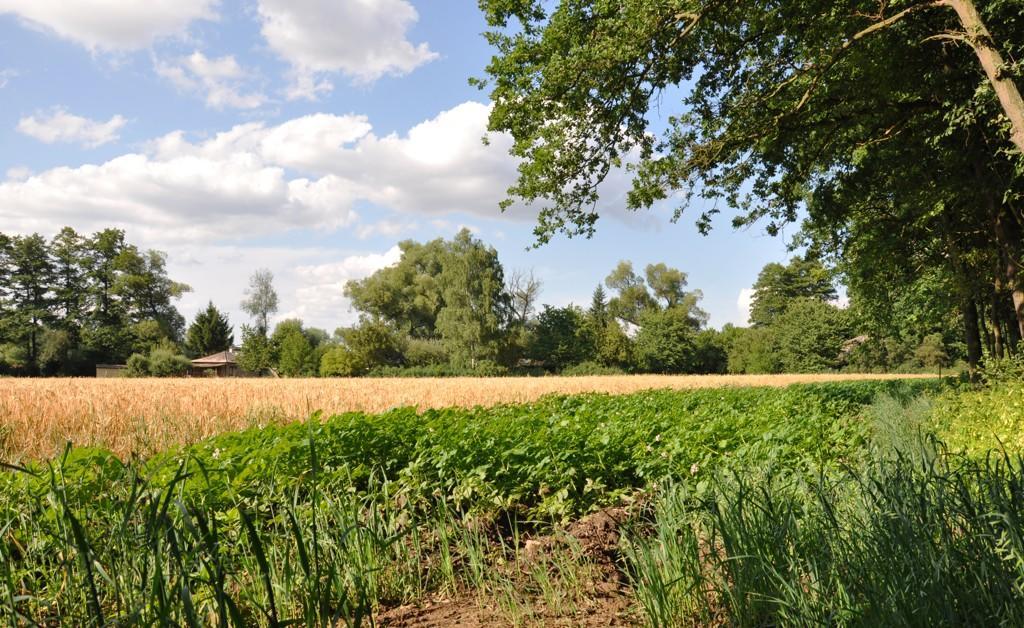 Farma Ztracenka Hotel Porici nad Sazavou Luaran gambar