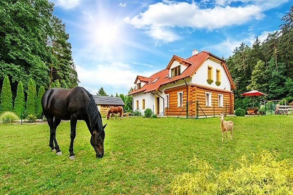 Farma Ztracenka Hotel Porici nad Sazavou Luaran gambar